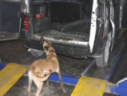 Rota, 14 kilo esrar buldu
